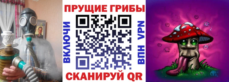 Галлюциногенные грибы Psilocybe  Балахна 